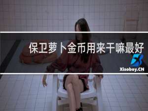 保卫萝卜金币用来干嘛最好