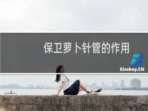 保卫萝卜针管的作用