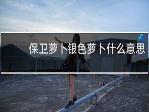 保卫萝卜银色萝卜什么意思