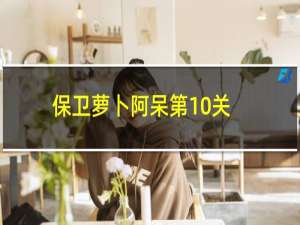 保卫萝卜阿呆第10关