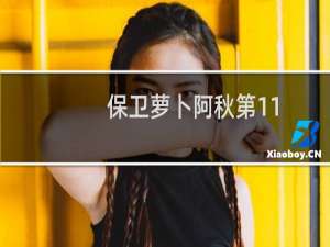 保卫萝卜阿秋第11