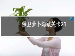 保卫萝卜隐藏关卡21