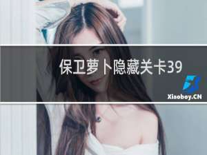 保卫萝卜隐藏关卡39