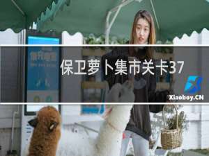保卫萝卜集市关卡37