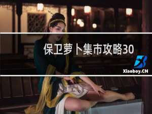 保卫萝卜集市攻略30