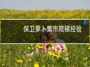 保卫萝卜集市爬梯经验