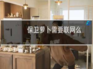 保卫萝卜需要联网么