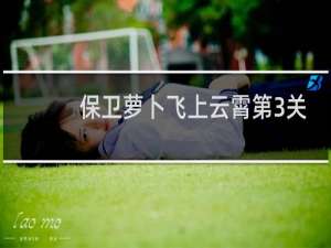 保卫萝卜飞上云霄第3关