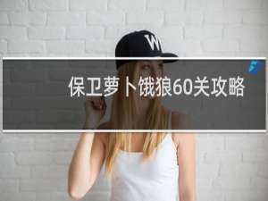 保卫萝卜饿狼60关攻略