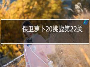 保卫萝卜 挑战第22关