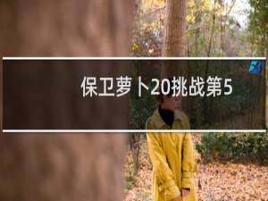 保卫萝卜 挑战第5