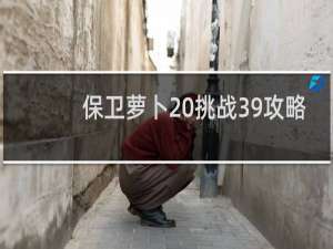 保卫萝卜 挑战39攻略