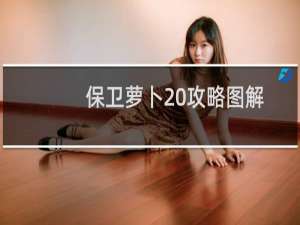 保卫萝卜 攻略图解