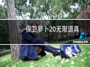 保卫萝卜 无限道具