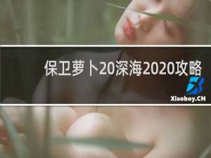 保卫萝卜 深海 20攻略