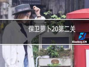 保卫萝卜 第二关