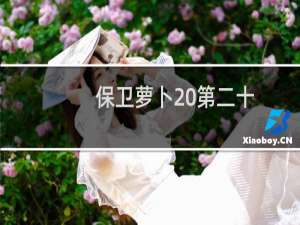 保卫萝卜 第二十