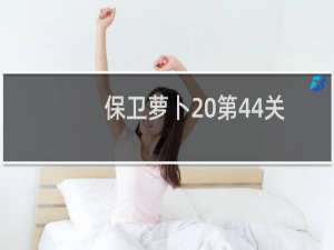 保卫萝卜 第44关
