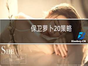 保卫萝卜 策略