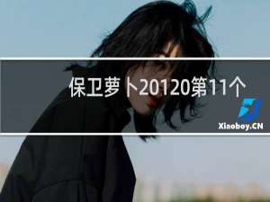 保卫萝卜 1 第11个