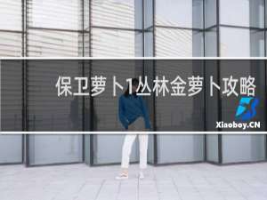 保卫萝卜1丛林金萝卜攻略