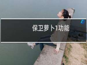 保卫萝卜1功能