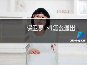 保卫萝卜1怎么退出