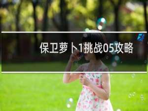保卫萝卜1挑战05攻略