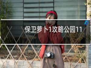 保卫萝卜1攻略公园11