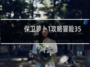 保卫萝卜1攻略冒险35