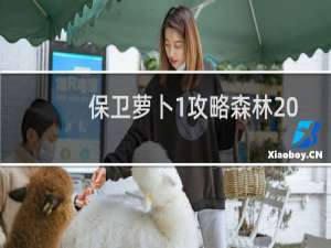 保卫萝卜1攻略森林20