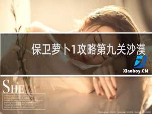 保卫萝卜1攻略第九关沙漠