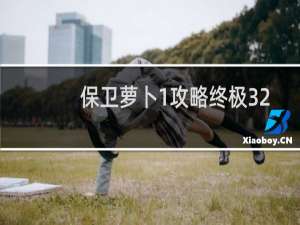 保卫萝卜1攻略终极32