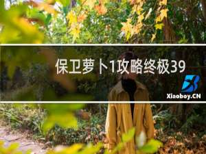 保卫萝卜1攻略终极39