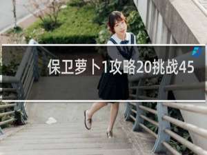 保卫萝卜1攻略 挑战45