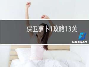 保卫萝卜1攻略13关