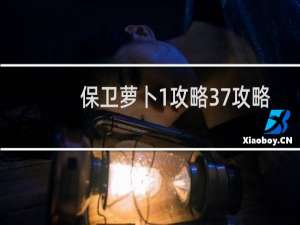 保卫萝卜1攻略37攻略