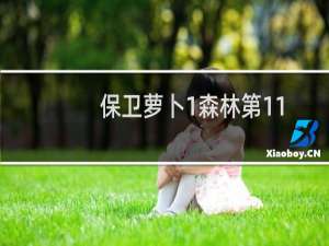 保卫萝卜1森林第11