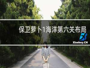 保卫萝卜1海洋第六关布局