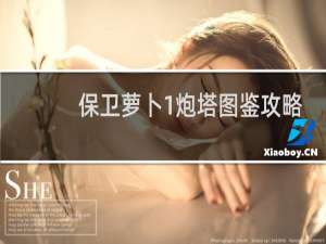 保卫萝卜1炮塔图鉴攻略