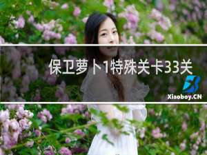 保卫萝卜1特殊关卡33关