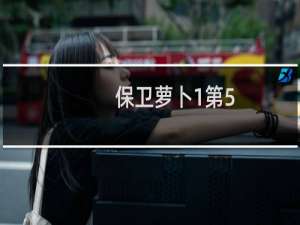 保卫萝卜1第5