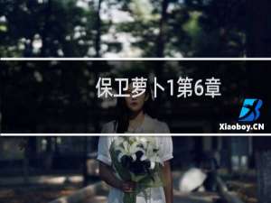 保卫萝卜1第6章
