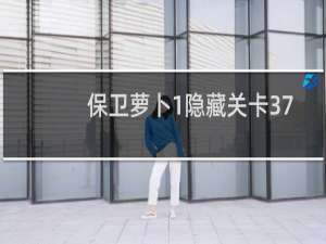 保卫萝卜1隐藏关卡37
