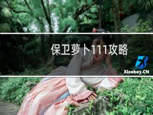 保卫萝卜111攻略
