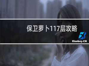 保卫萝卜117层攻略