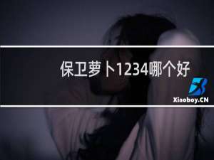 保卫萝卜1234哪个好