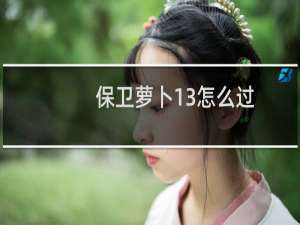 保卫萝卜13怎么过