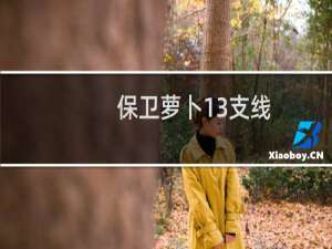保卫萝卜13支线