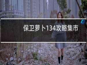 保卫萝卜134攻略集市